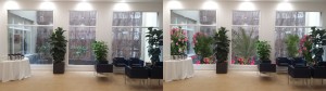 Diseño de Interiorismo con planta, y simulación de Patio Exterior, en el Colegio de Farmacéuticos de Madrid