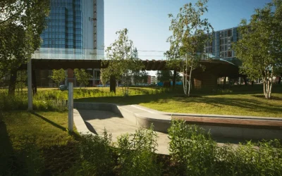 Cómo diseñar espacios naturales en entornos urbanos para reconectar con la naturaleza